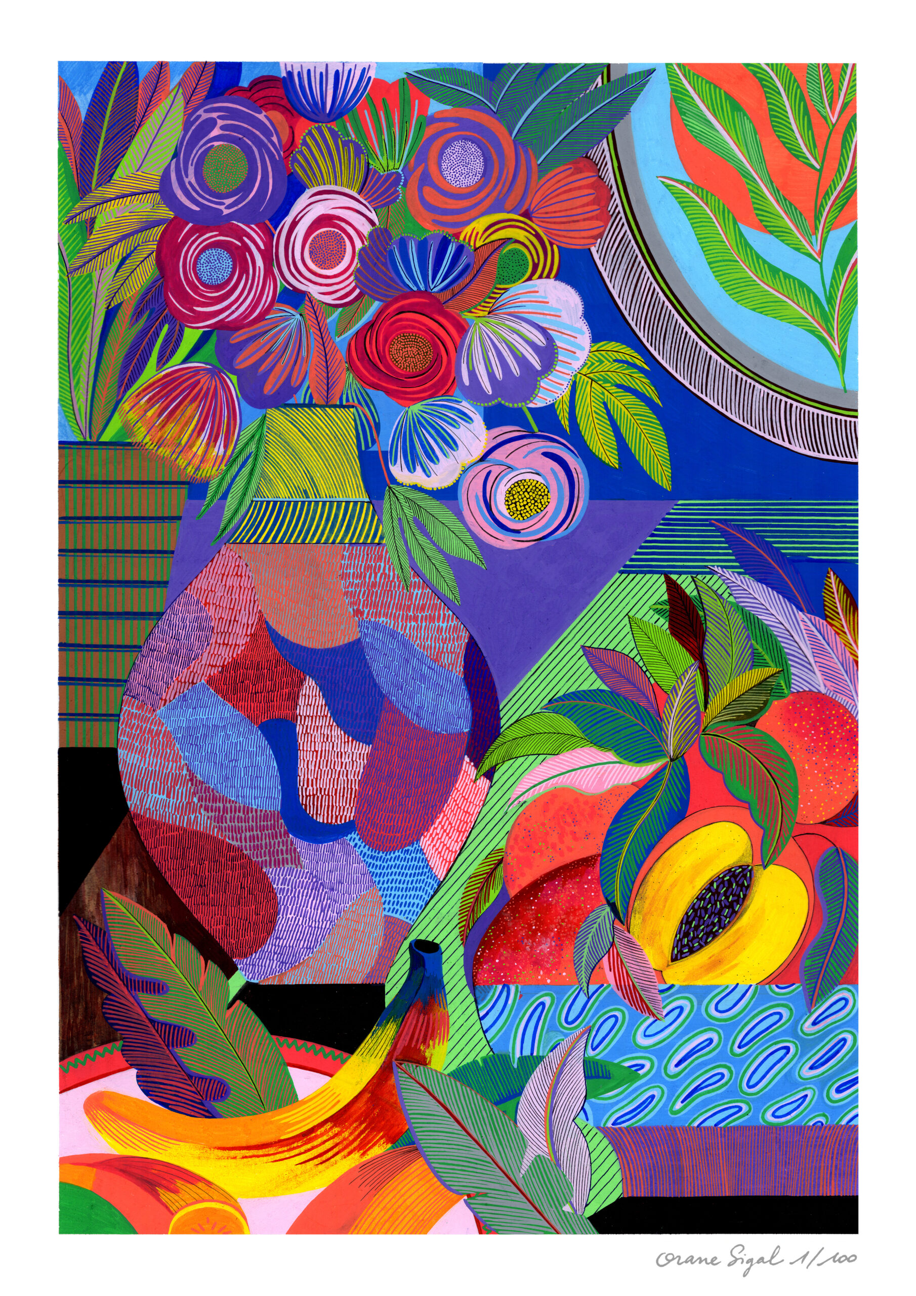 coupe-de-fruits-orane-sigal-lasigalerie-tirage-art-illustration-lyon-1