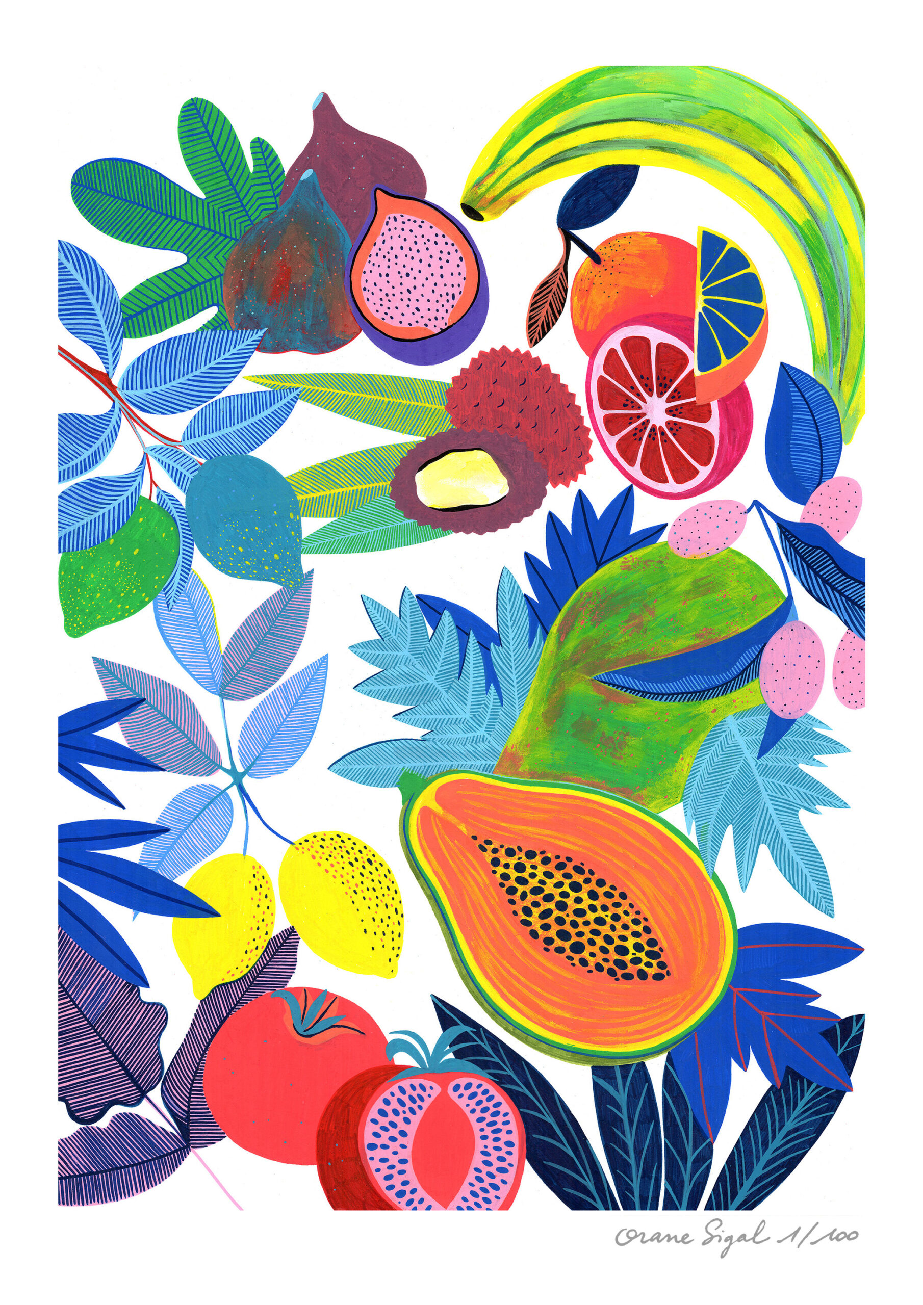 fruits-exotique-orane-sigal-lasigalerie-tirage-art-illustration-lyon-1