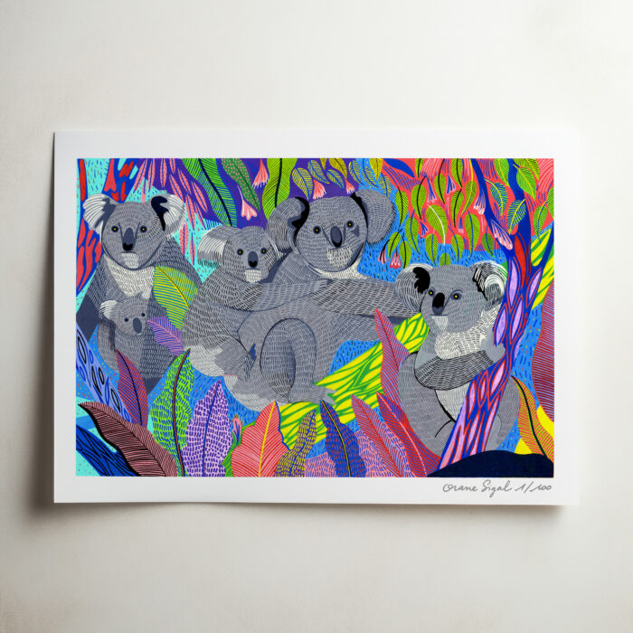 koalas-sigalorane-tirage-art-ilustration-3