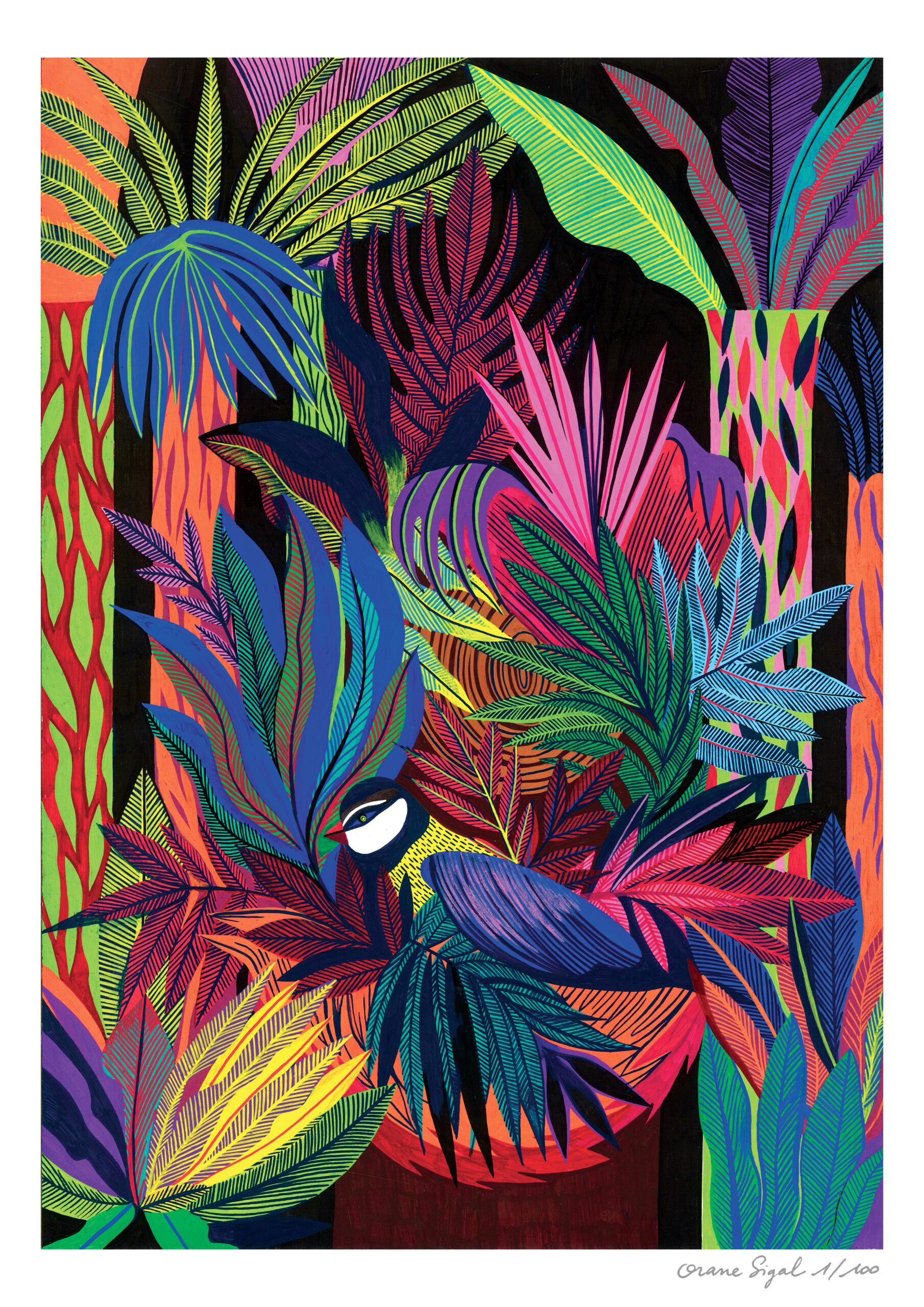 la-naissance-de-l'oiseau-orane-sigal-lasigalerie-tirage-art-illustration-lyon-1