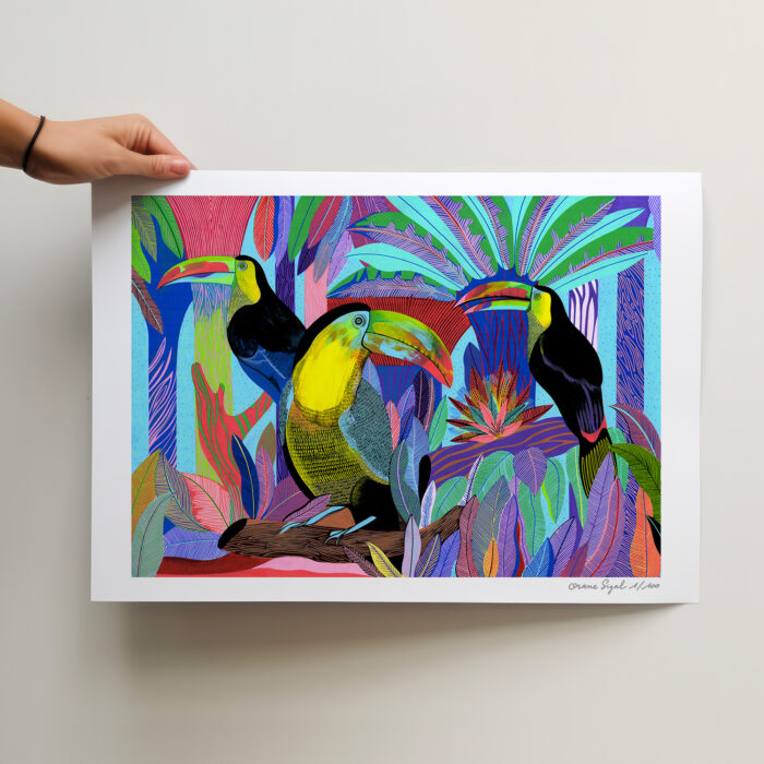 les-trois-toucans-orane-sigal-lasigalerie-tirage-art-illustration-lyon-2