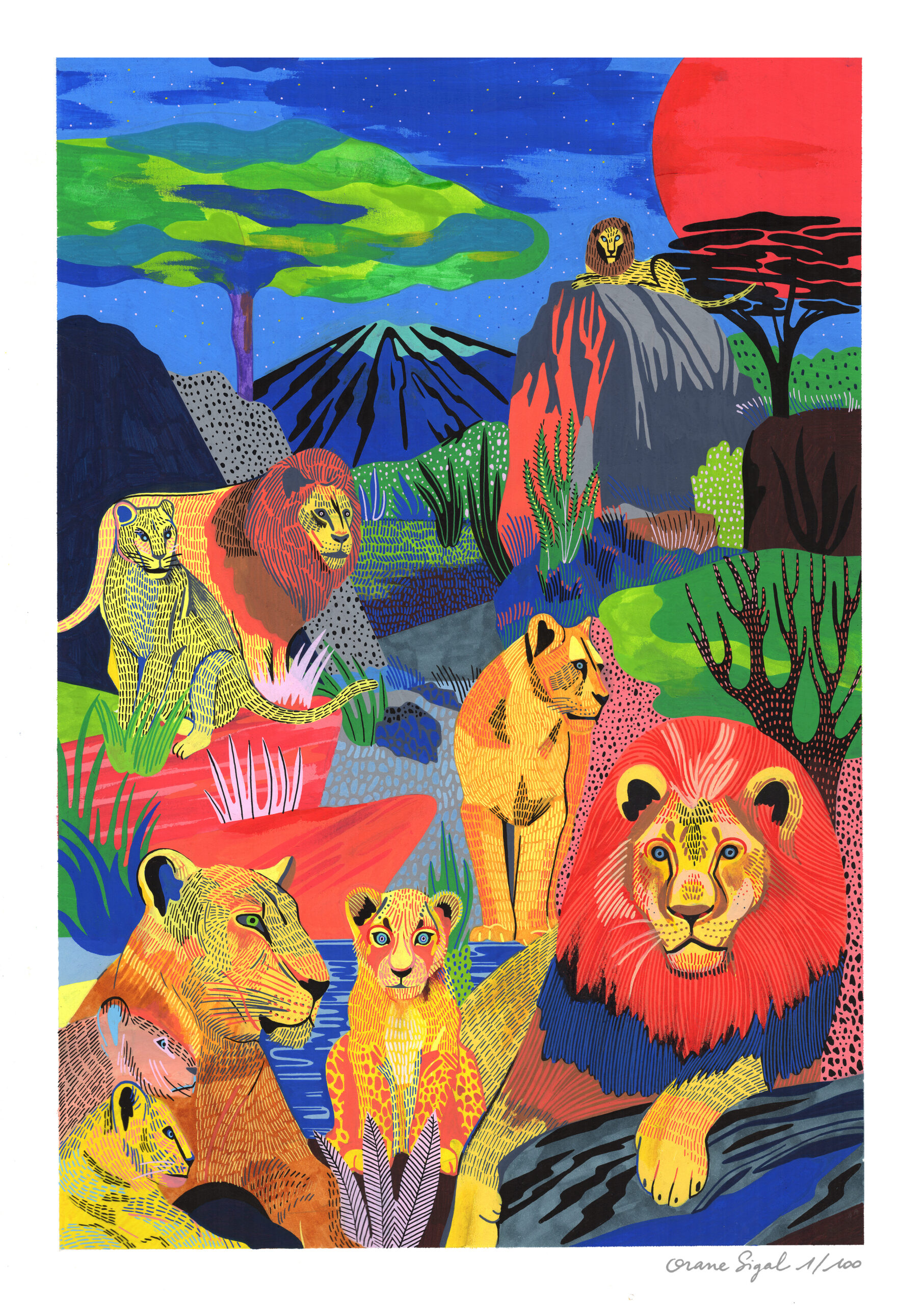 lions-orane-sigal-lasigalerie-tirage-art-illustration-lyon-1