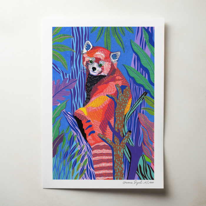 panda-roux-sur-sa-branche-orane-sigal-lasigalerie-tirage-art-illustration-lyon-2