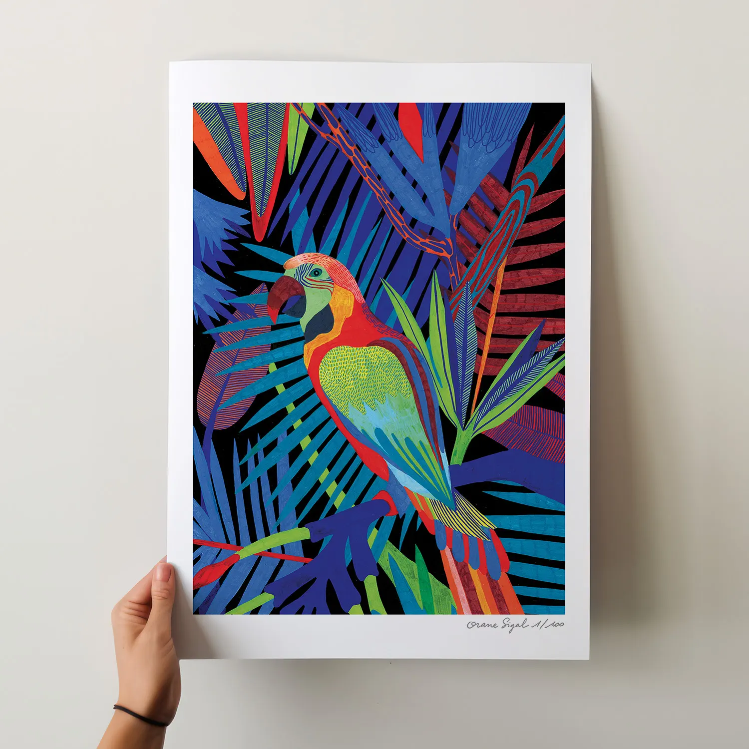 Perroquet ara coloré perché parmi des feuilles de palmier sur fond bleu nuit, tirage d'art illustré par Orane Sigal