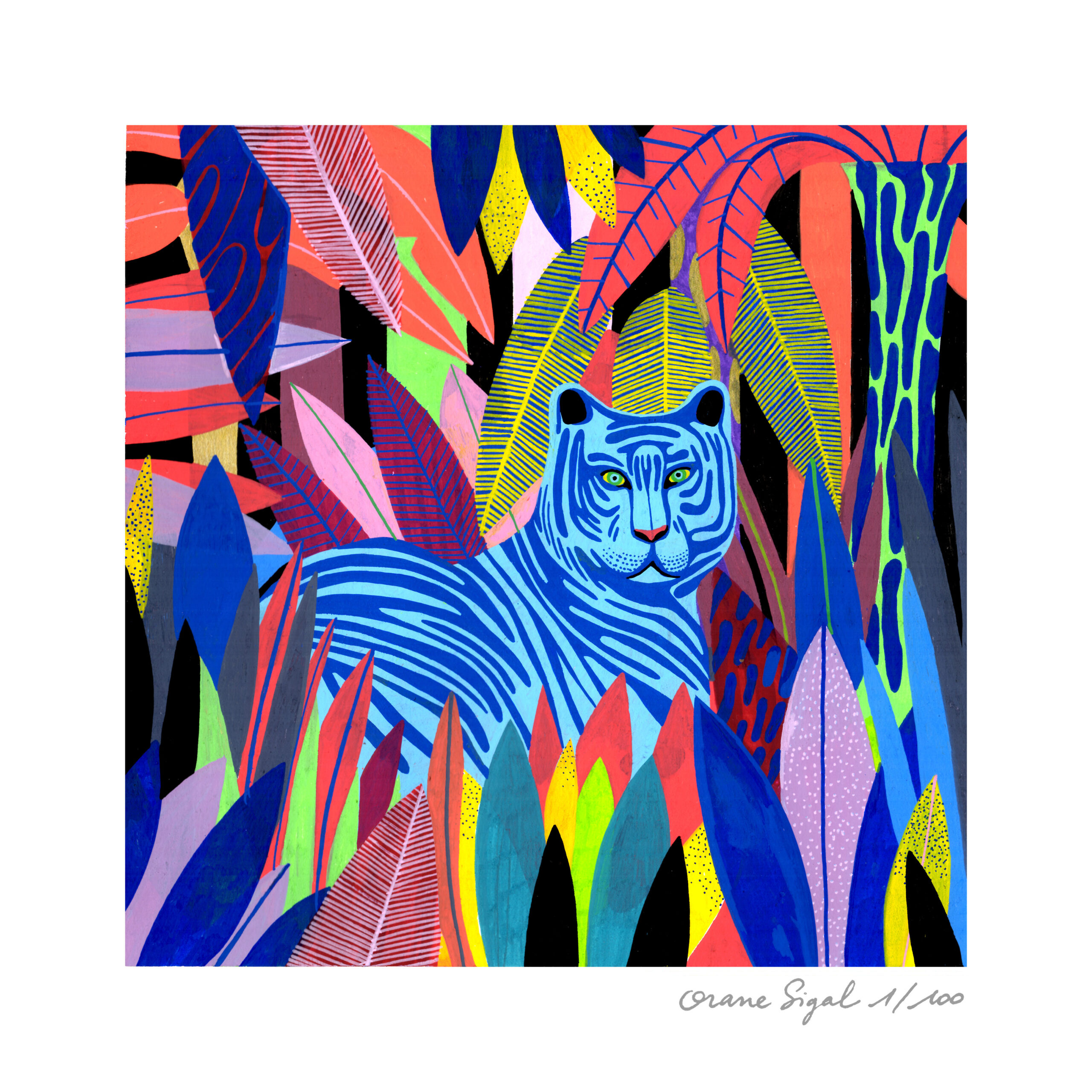 tigre-bleu-orane-sigal-lasigalerie-tirage-art-illustration-lyon-1