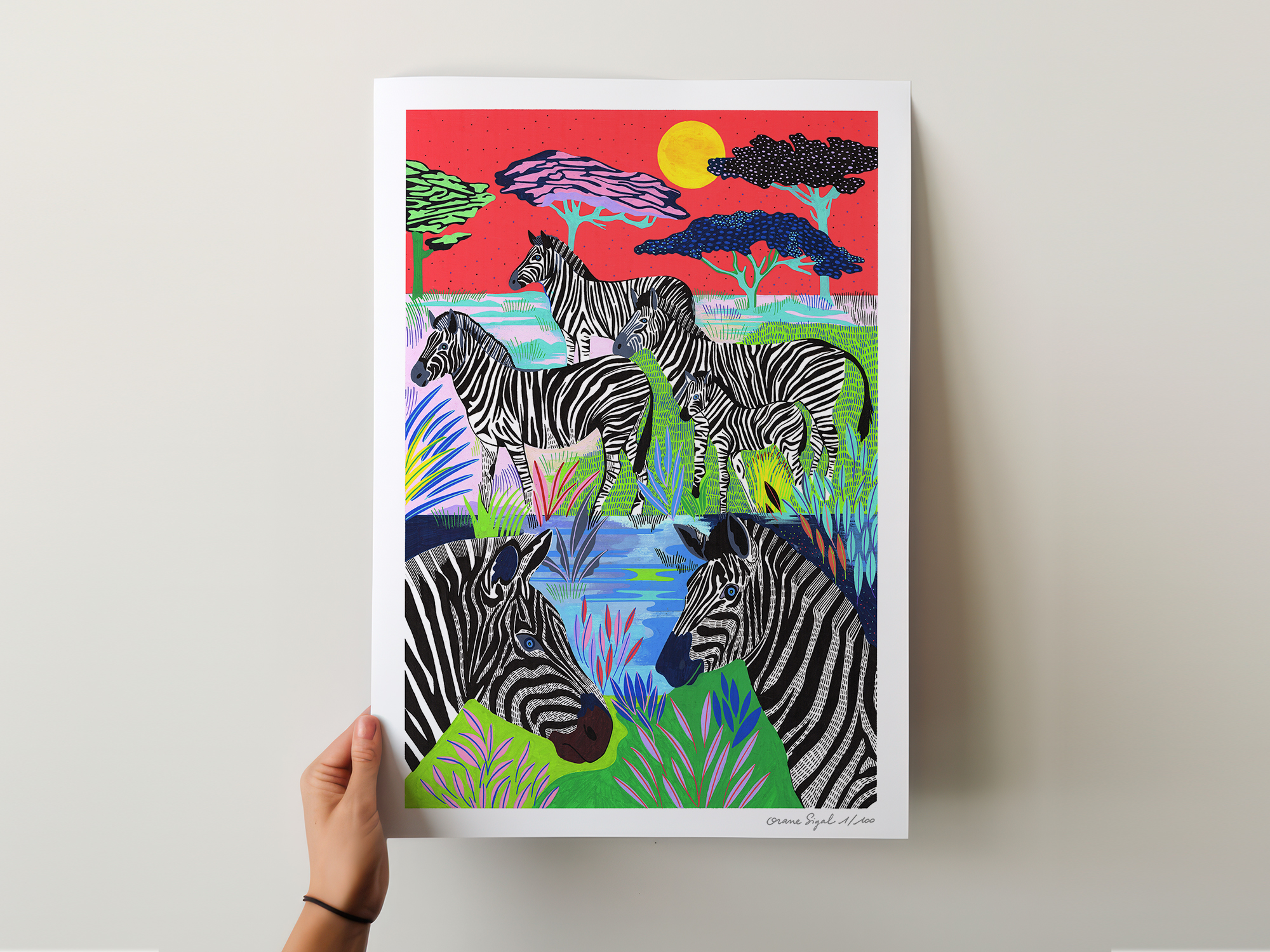 zebres-orane-sigal-lasigalerie-tirage-art-illustration-lyon-2
