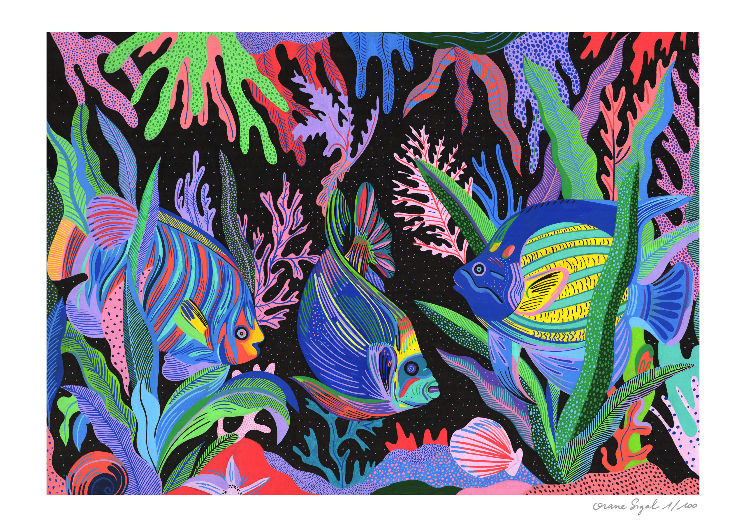 fonds-marins-orane-sigal-lasigalerie-tirage-art-illustration-lyon-1