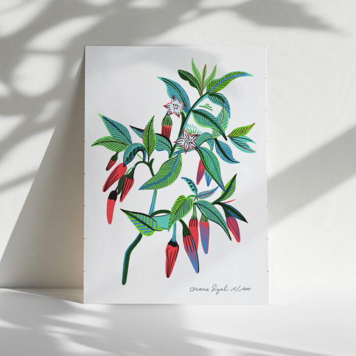 piments-orane-sigal-lasigalerie-tirage-art-illustration-lyon-2