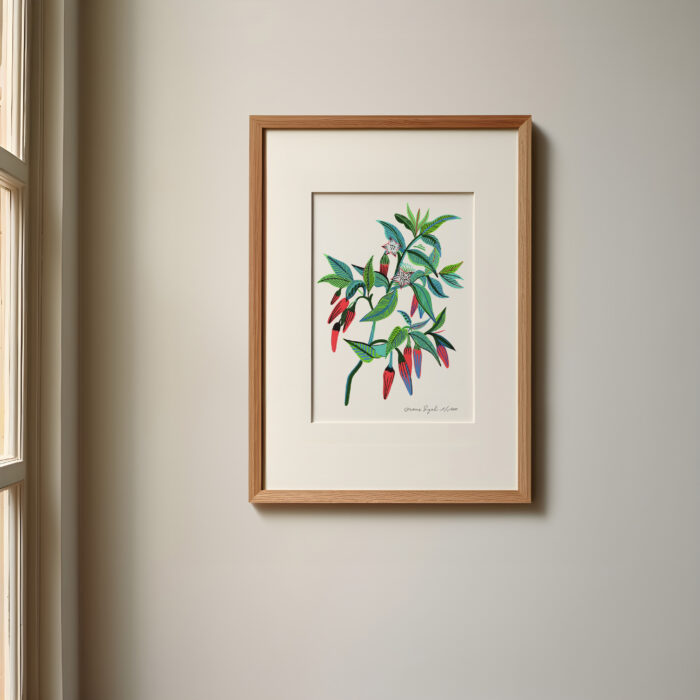 piments-orane-sigal-lasigalerie-tirage-art-illustration-lyon-2