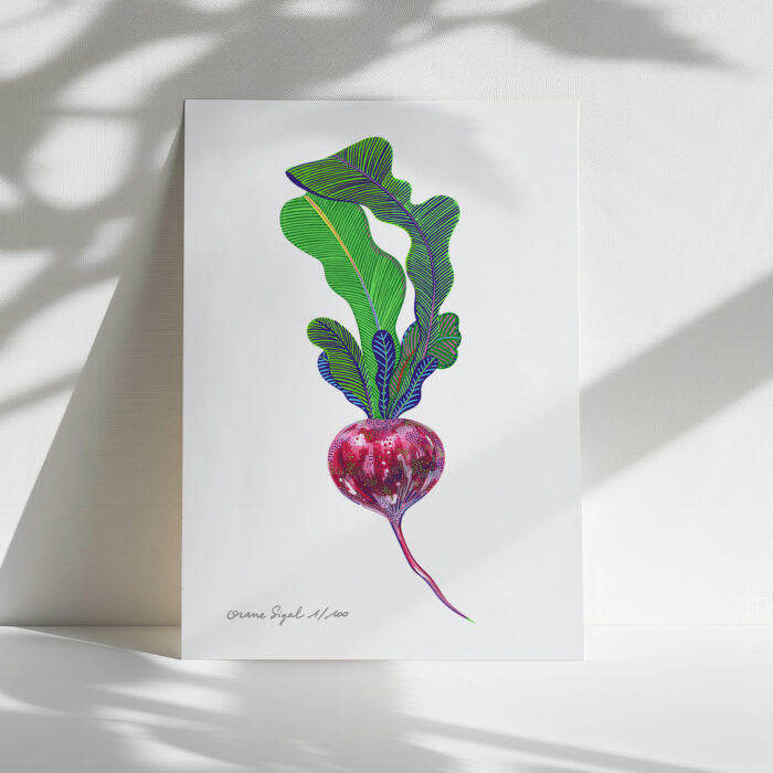 radis-orane-sigal-lasigalerie-tirage-art-illustration-lyon-2