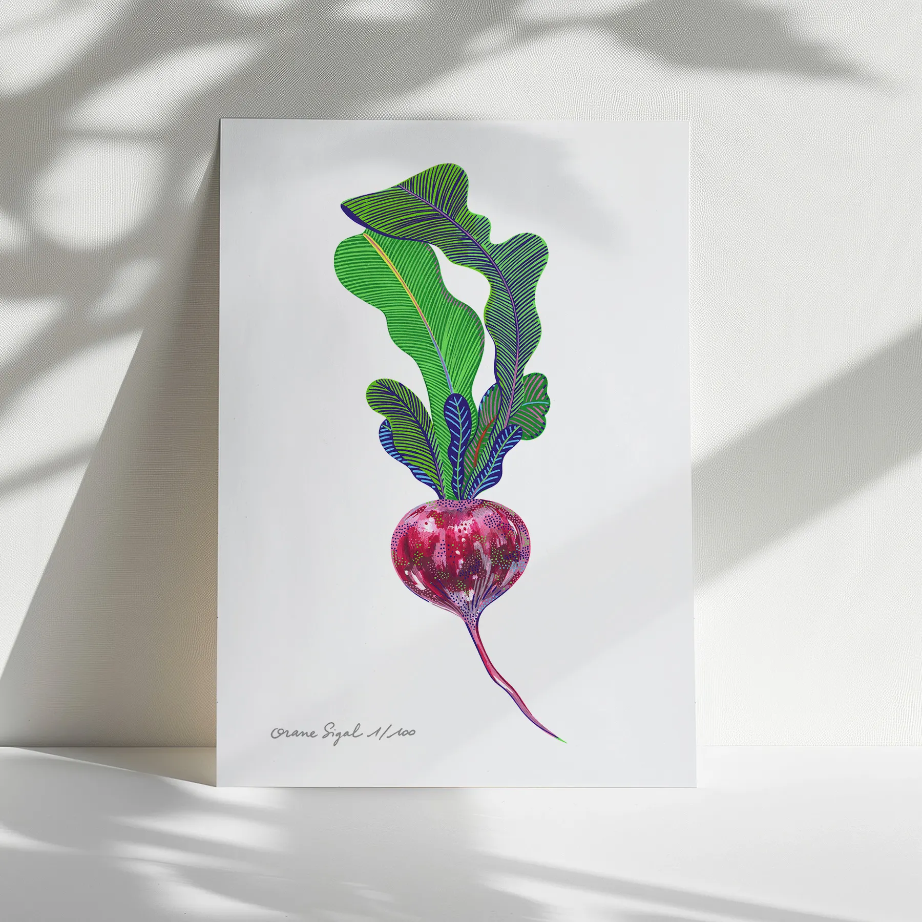 Radis rose à grandes fanes vertes nervurées sur fond blanc, tirage d'art illustré par Orane Sigal