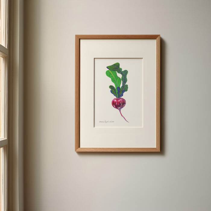 radis-orane-sigal-lasigalerie-tirage-art-illustration-lyon-3