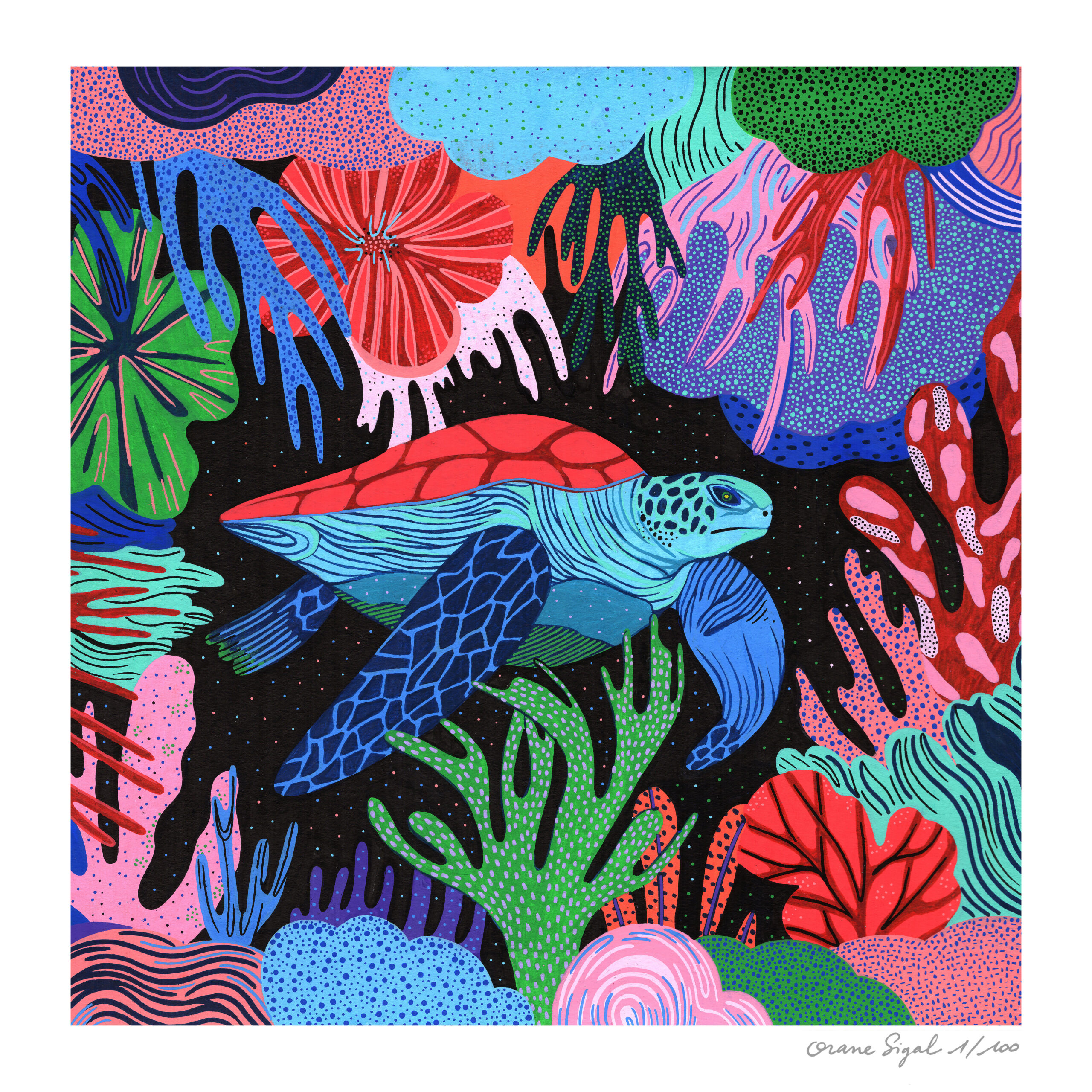 tortue-orane-sigal-lasigalerie-tirage-art-illustration-lyon-1