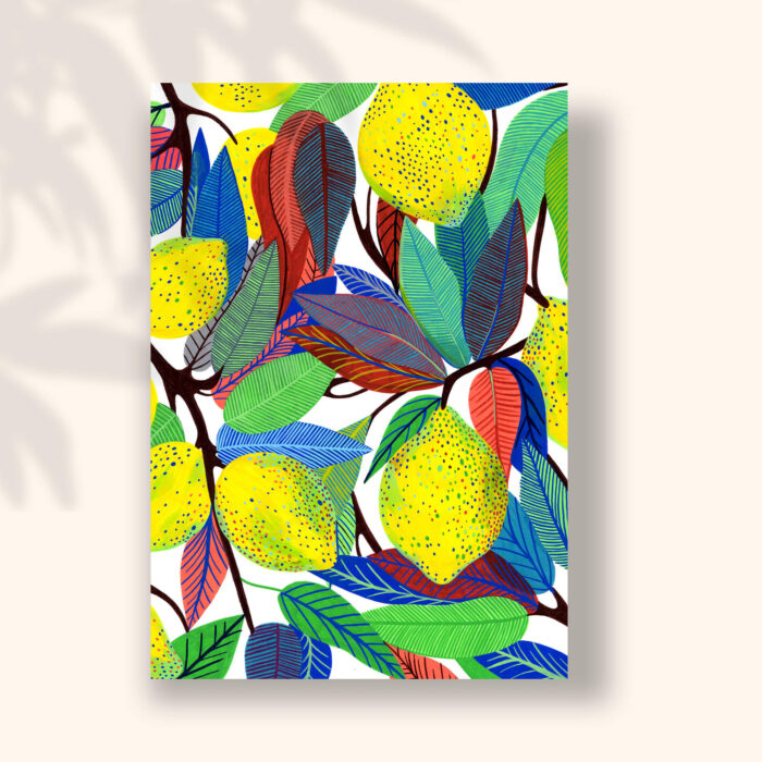 citrons-sigal-orane-carte-postale-illustration-lyon