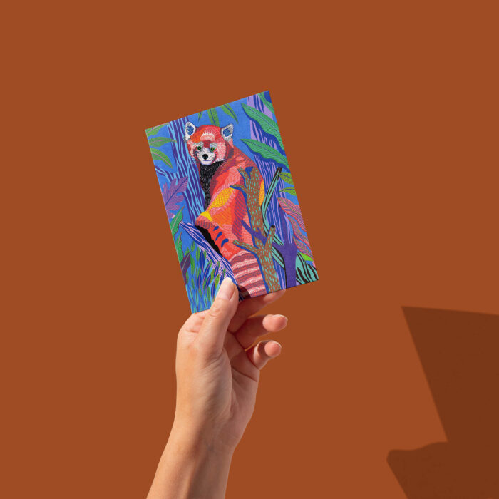 panda-sur-sa-branche-sigal-orane-carte-postale-illustration-lyon