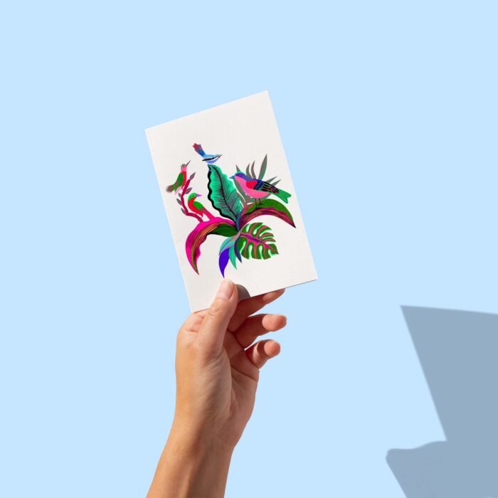 oiseaux-sigal-orane-carte-postale