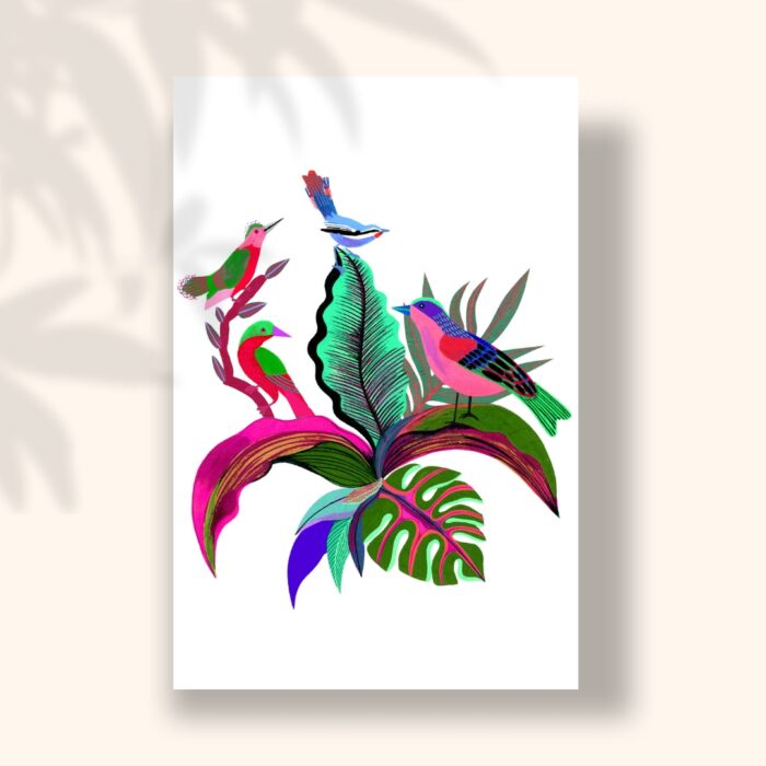 oiseaux-sigal-orane-carte-postale