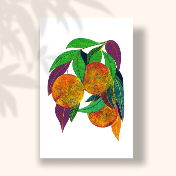 oranges-sigal-orane-carte-postale