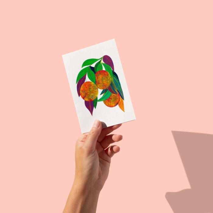 oranges-sigal-orane-carte-postale