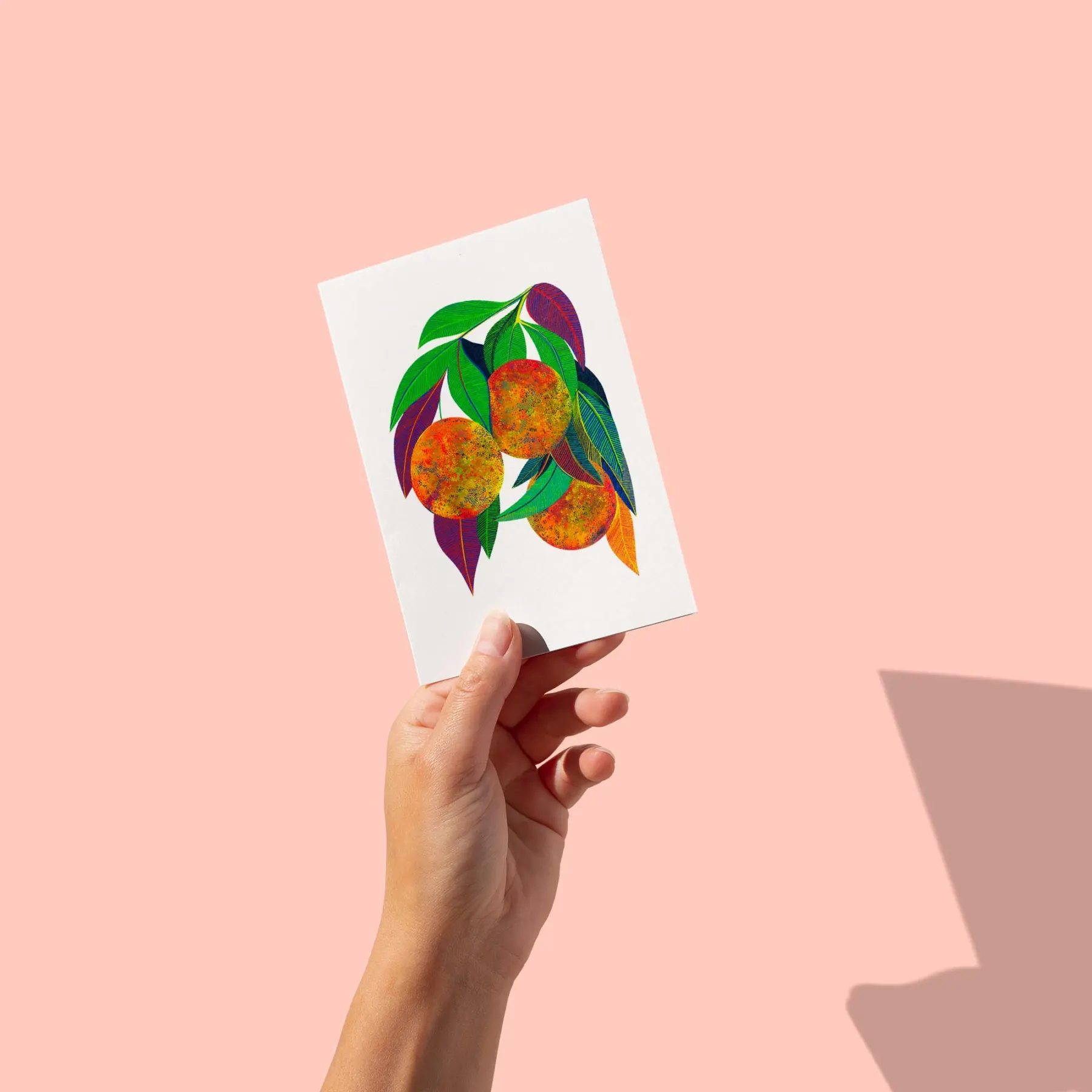 Trois oranges sur une branche feuillue aux teintes vertes et violettes, carte postale illustrée par Orane Sigal