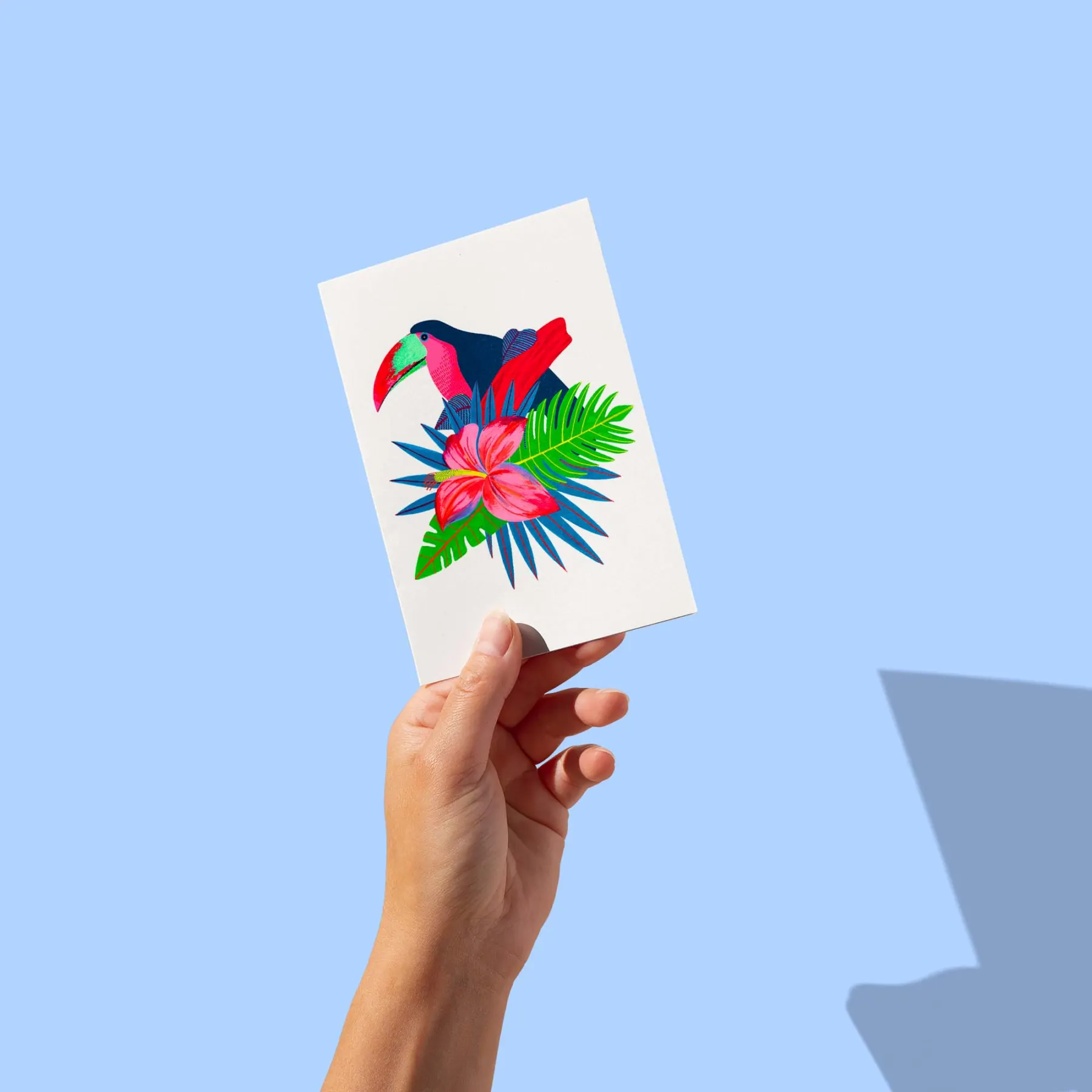 Toucan au bec rouge au-dessus d'un hibiscus rose et feuilles de palmier sur fond blanc, carte postale illustrée par Orane Sigal