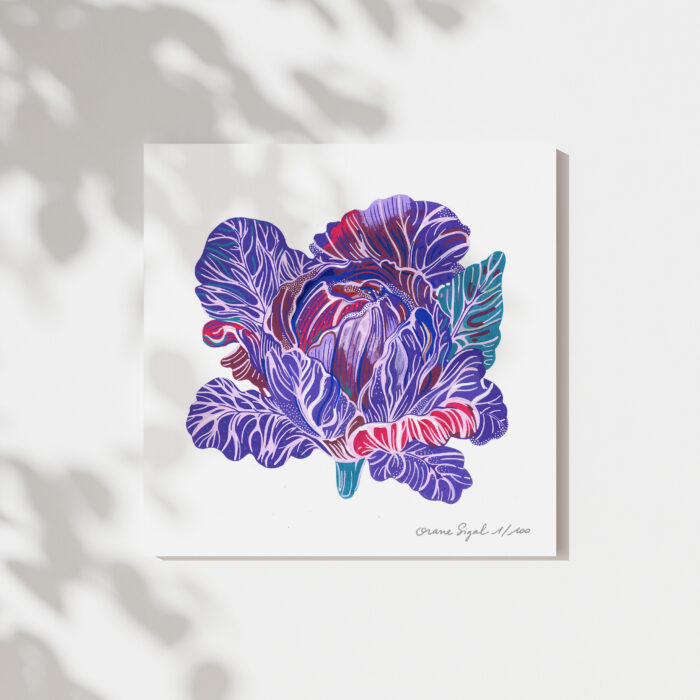 chou-rouge-orane-sigal-lasigalerie-tirage-art-illustration-lyon-2