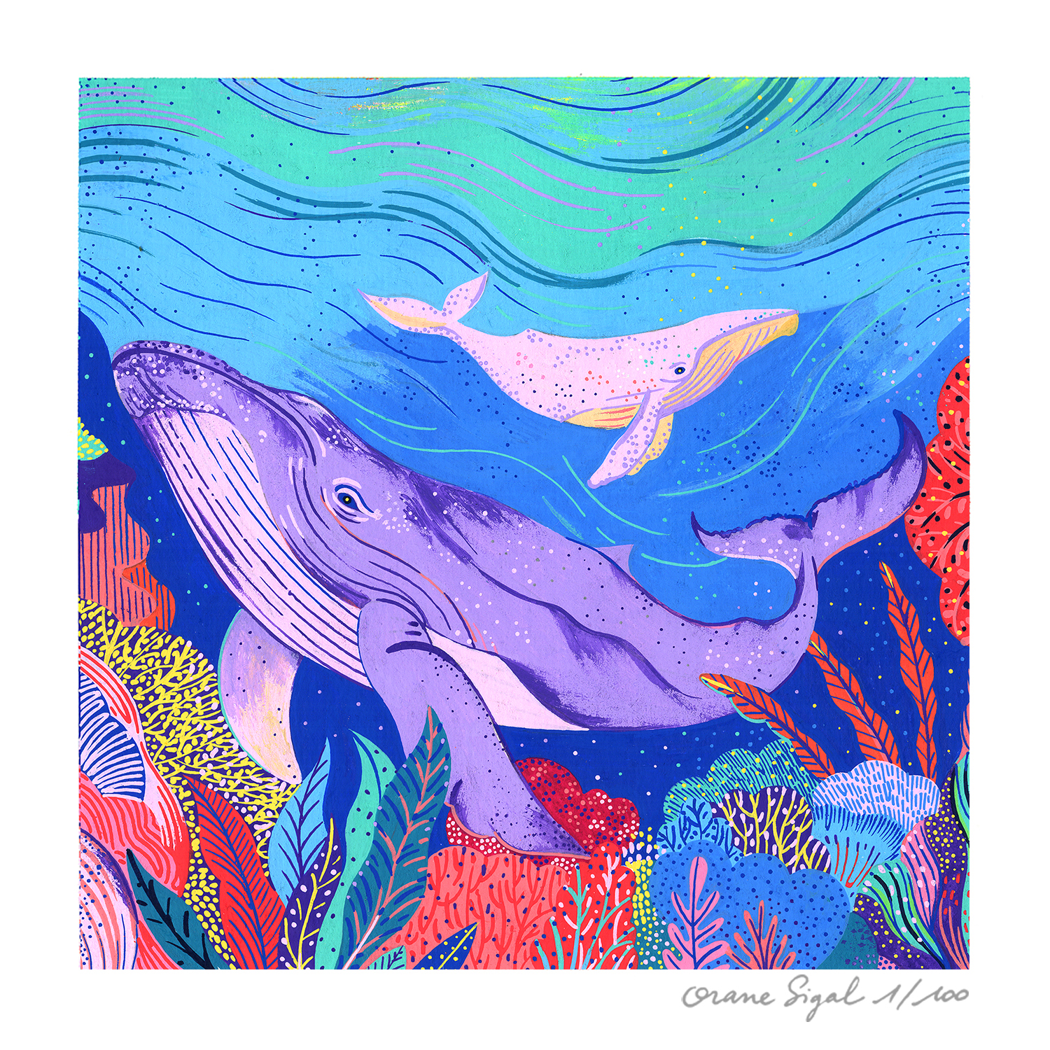 baleine-orane-sigal-lasigalerie-tirage-art-illustration-lyon-1