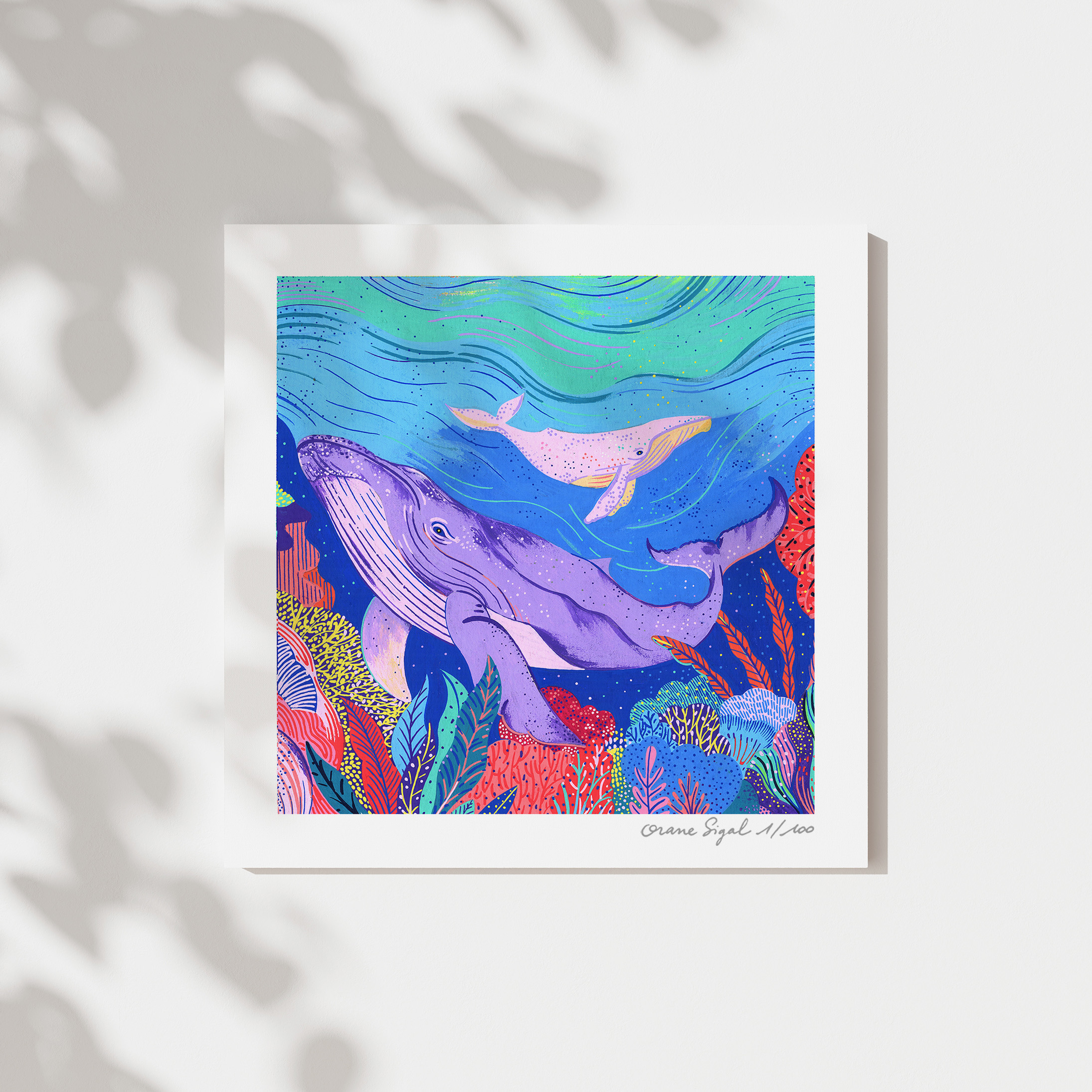 baleine-orane-sigal-lasigalerie-tirage-art-illustration-lyon-2