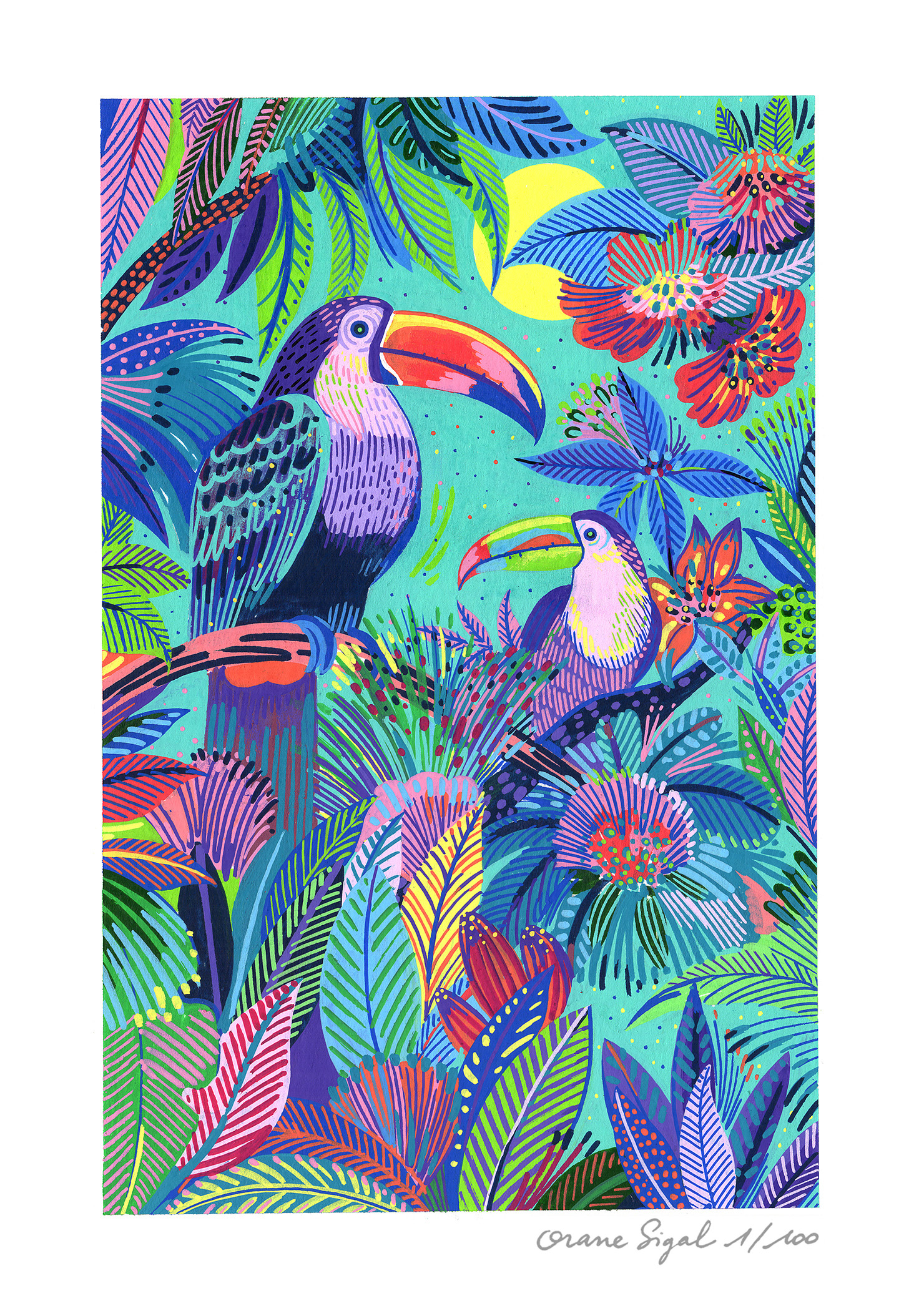 les-deux-toucans-orane-sigal-lasigalerie-tirage-art-illustration-lyon-1