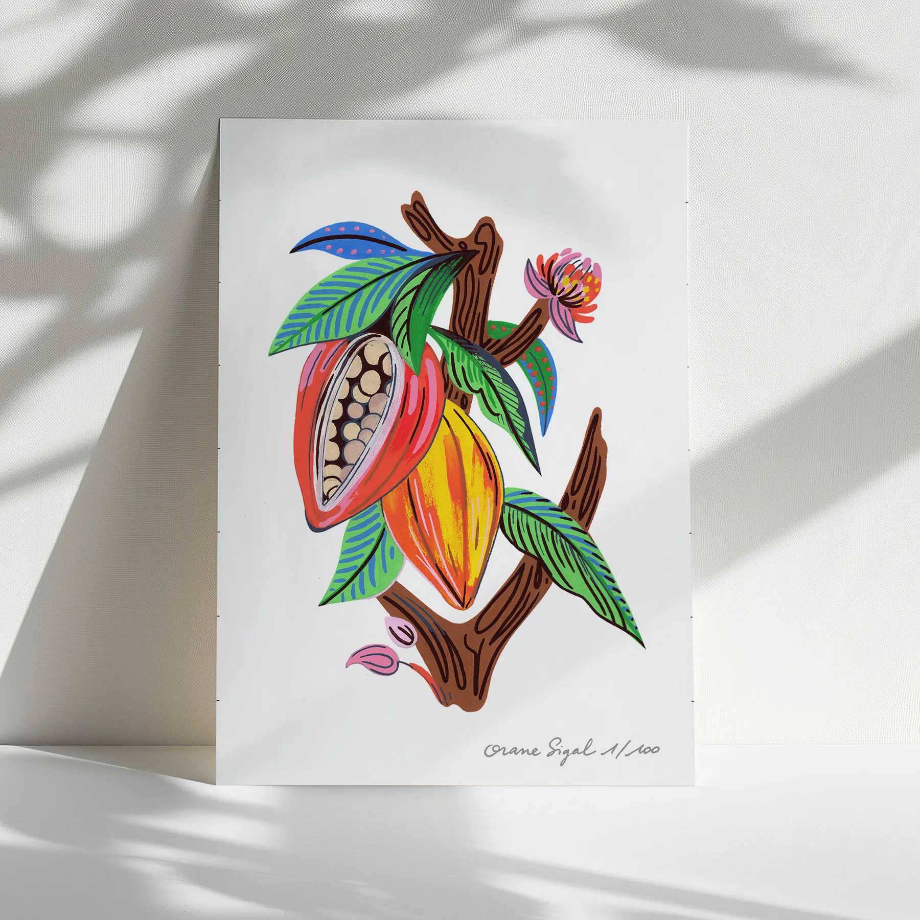 Cabosses de cacao ouvertes sur branche, feuilles vertes et fleur rose, tirage d'art illustré par Orane Sigal