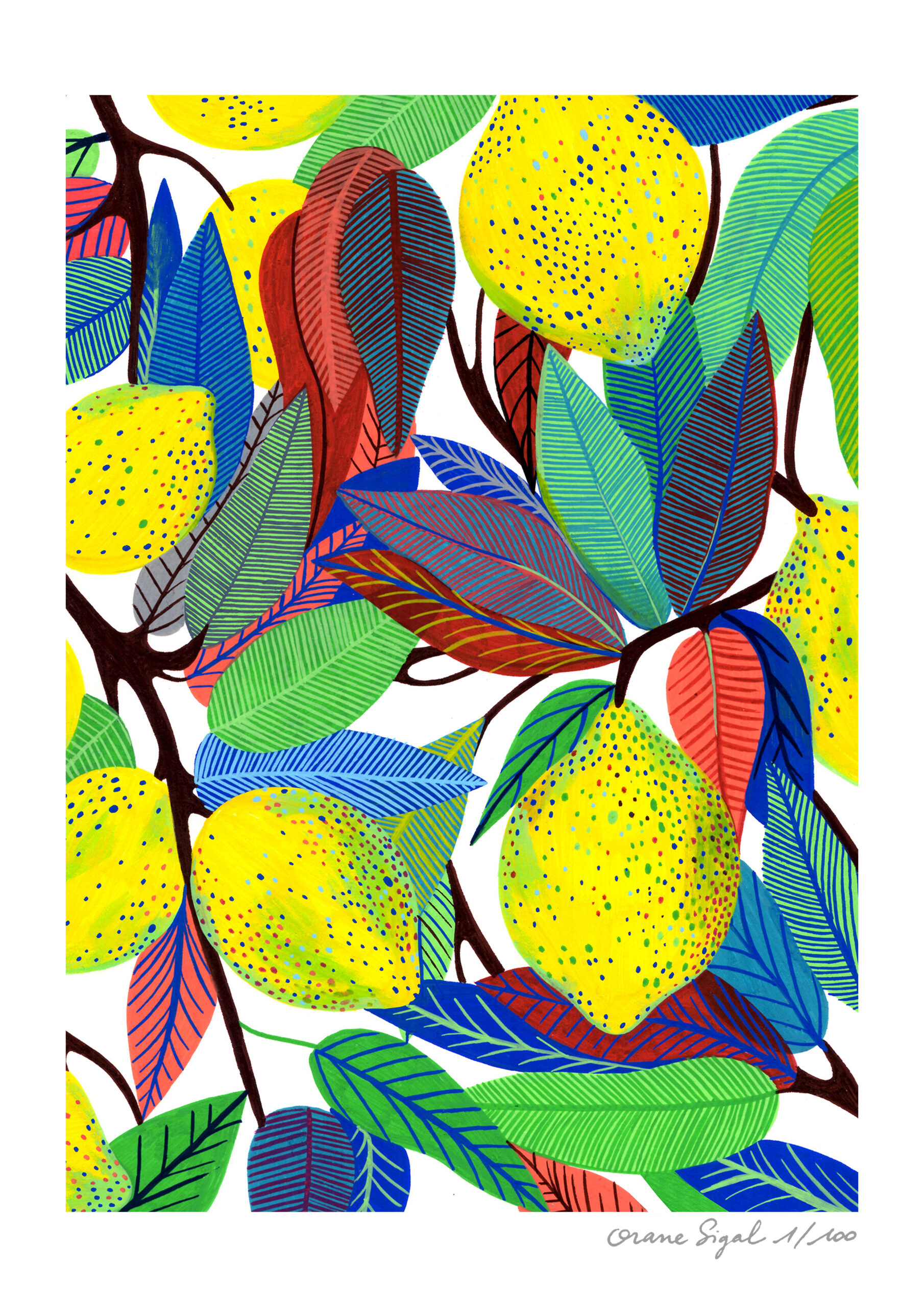 Tirage - Citrons – Image 3