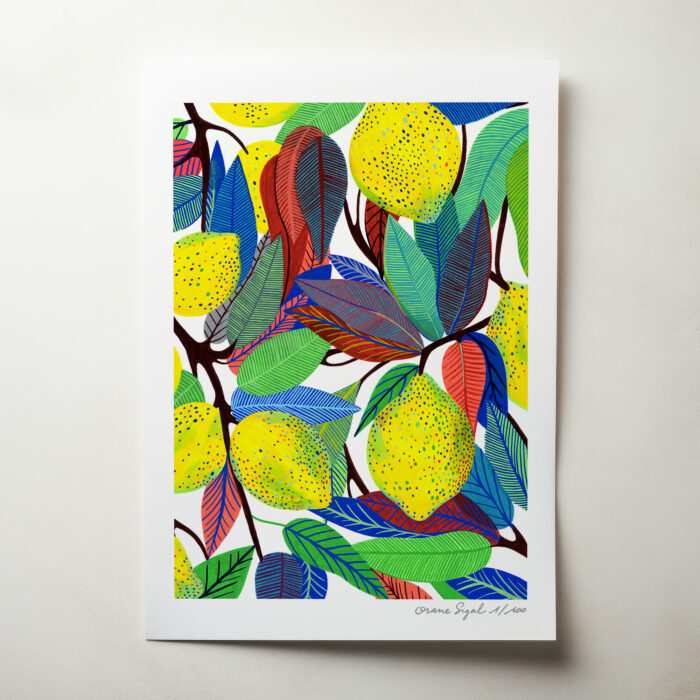 citrons-orane-sigal-lasigalerie-tirage-art-illustration-lyon-2
