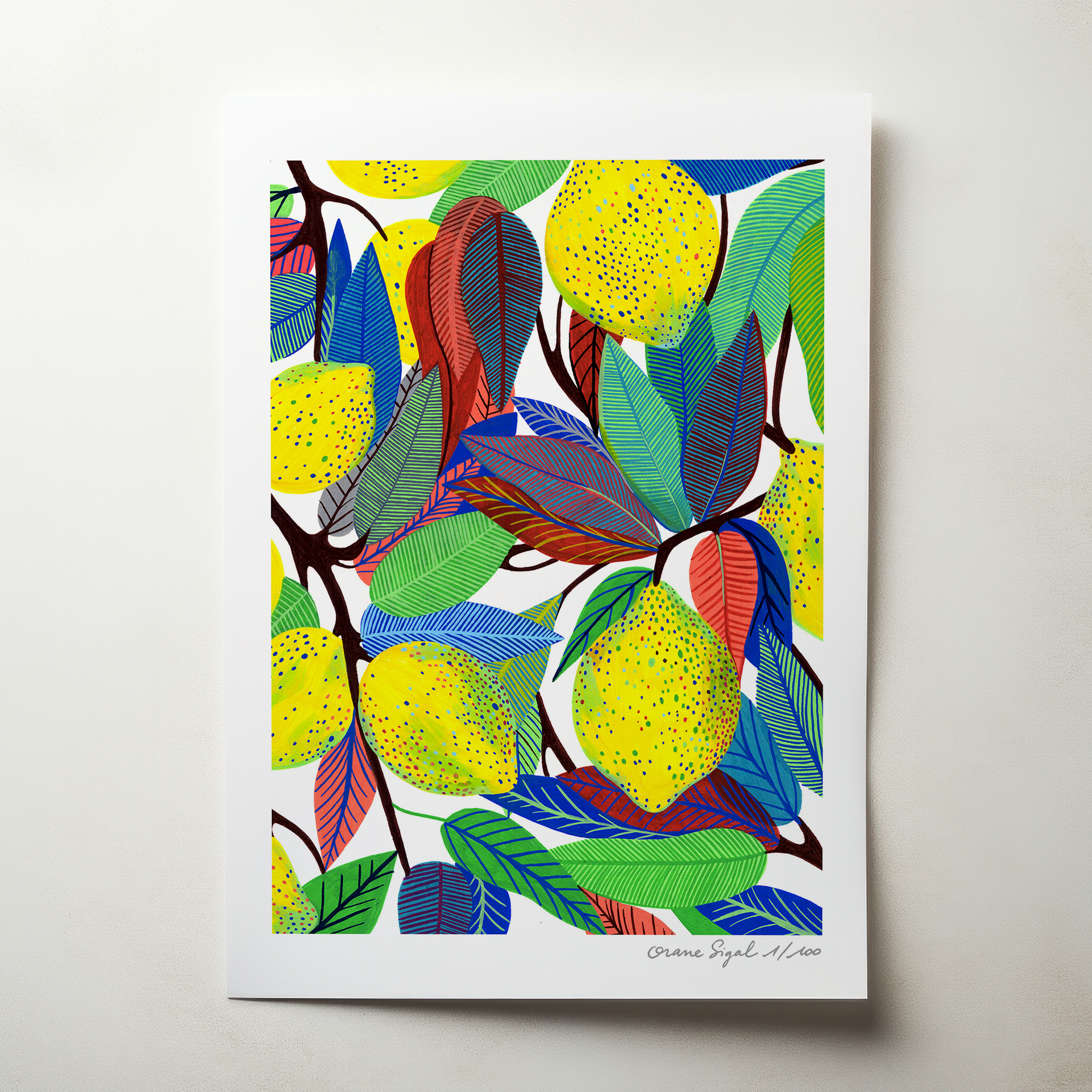 citrons-orane-sigal-lasigalerie-tirage-art-illustration-lyon-2