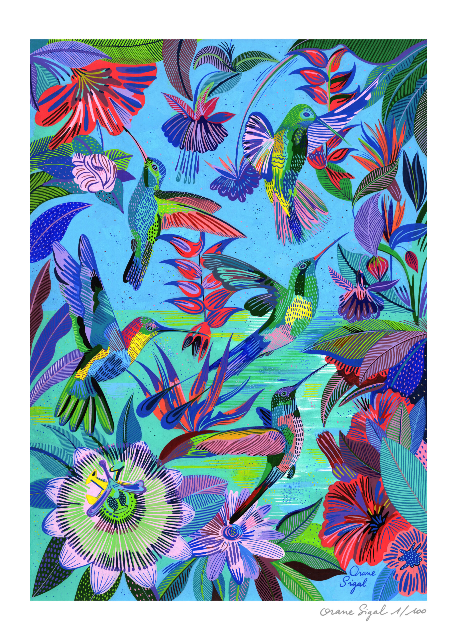 Tirage - Colibris – Image 3