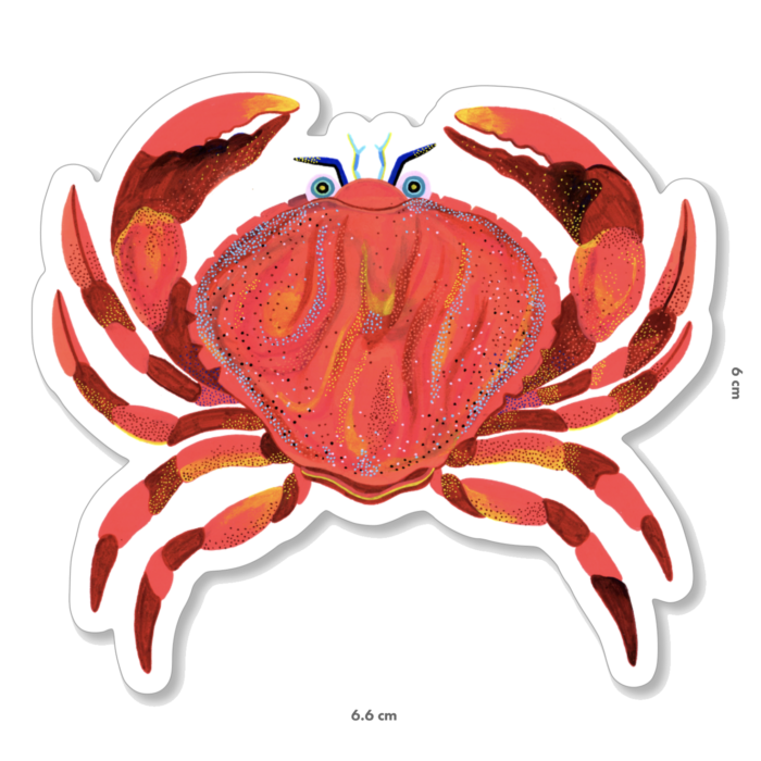 crabe-orane-sigal-lasigalerie-sticker-illustration-lyon-1