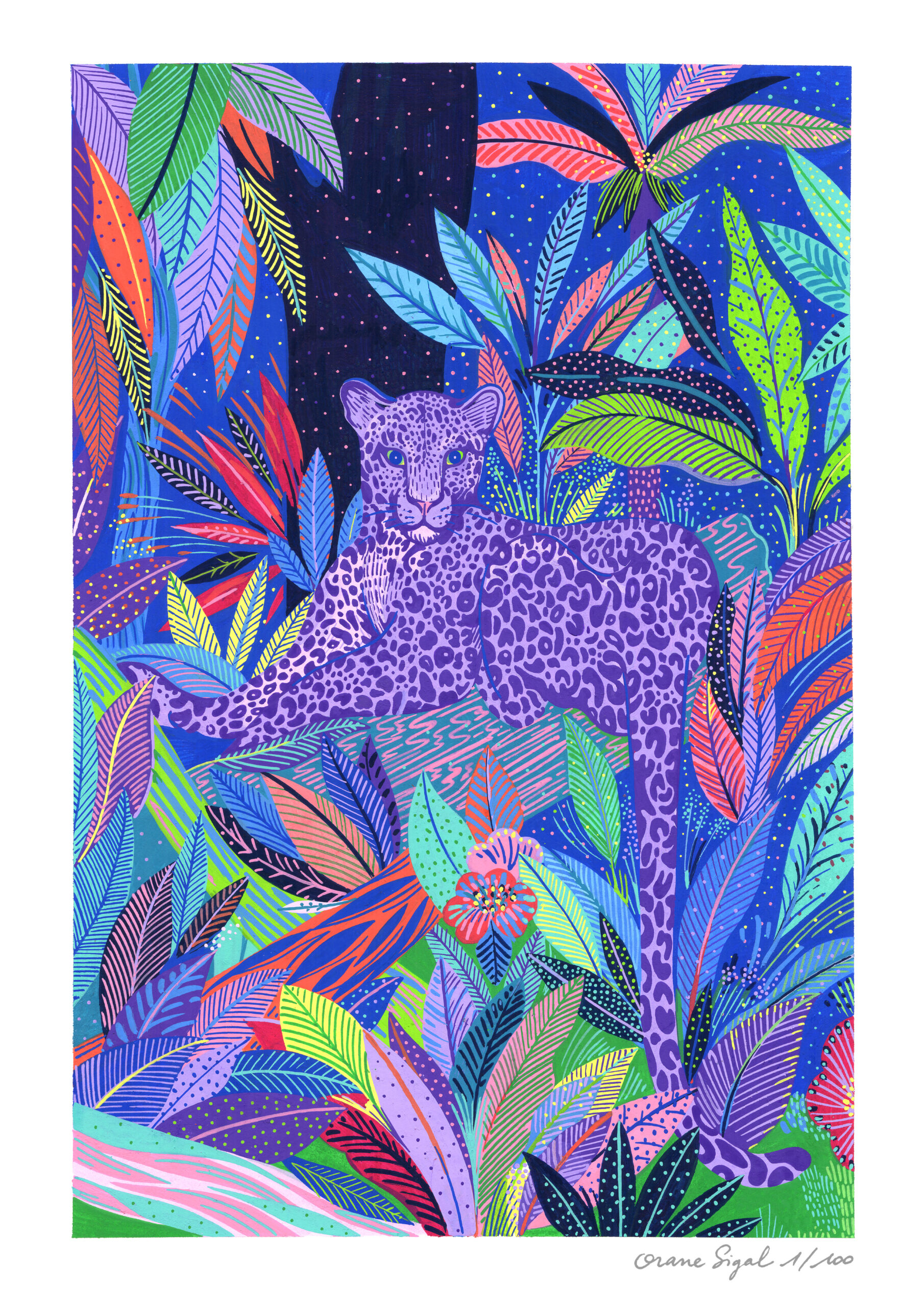 jaguar-orane-sigal-lasigalerie-tirage-art-illustration-lyon-1
