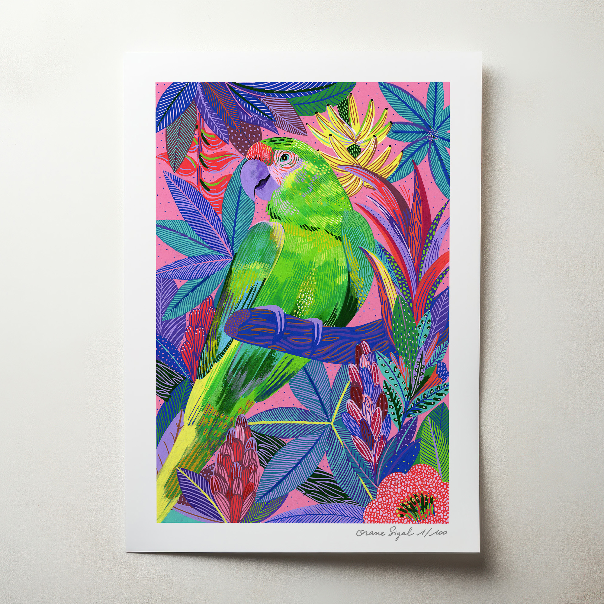 le-ara-vert-sur-sa-branche-orane-sigal-lasigalerie-tirage-art-illustration-lyon-2