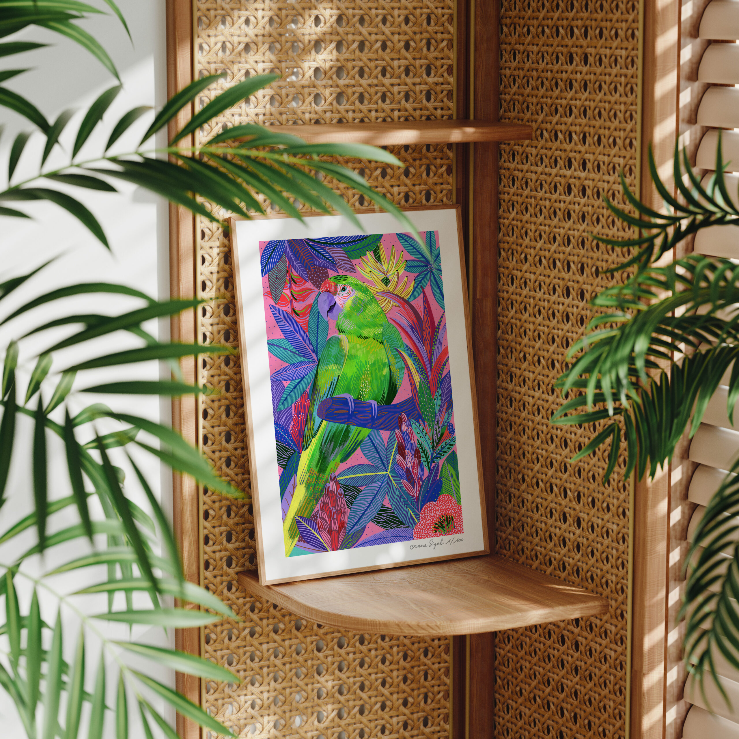 le-ara-vert-sur-sa-branche-orane-sigal-lasigalerie-tirage-art-illustration-lyon-3