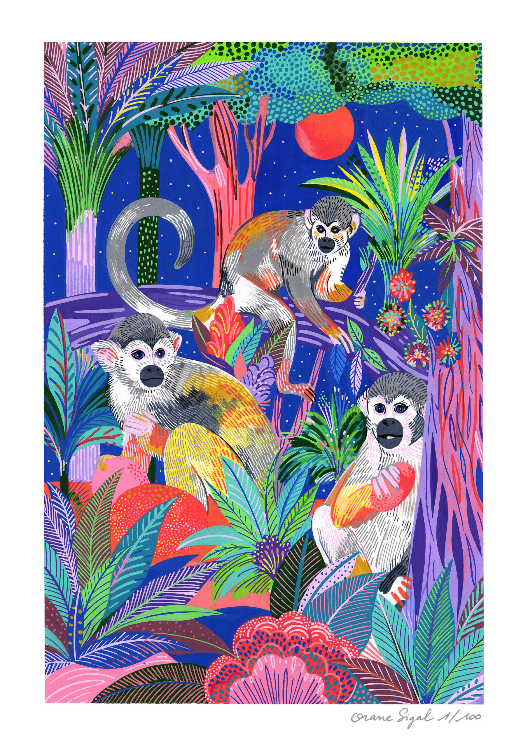les-singes-saimiris-orane-sigal-lasigalerie-tirage-art-illustration-lyon-1