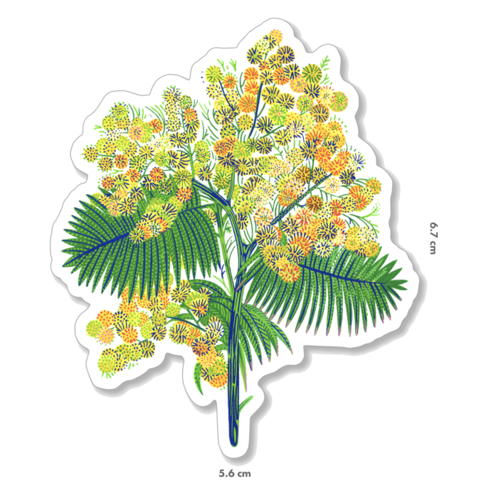 mimosa-orane-sigal-lasigalerie-sticker-illustration-lyon-1