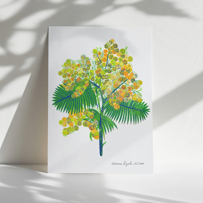 mimosa-orane-sigal-lasigalerie-tirage-art-illustration-lyon-2