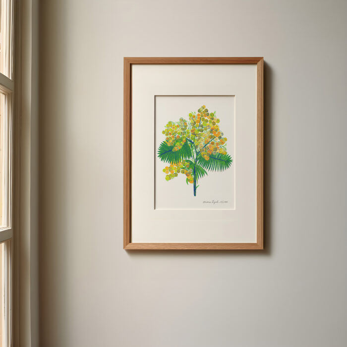 mimosa-orane-sigal-lasigalerie-tirage-art-illustration-lyon-3