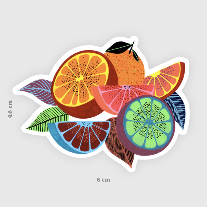 sticker-agrumes-orane-sigal-sigalerie-1