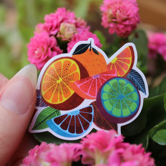 sticker-agrumes-orane-sigal-sigalerie-2