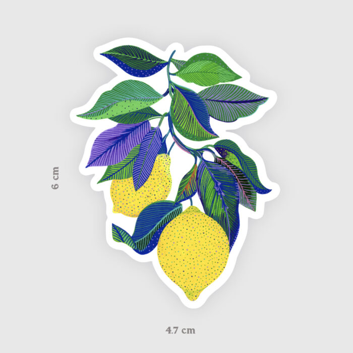 sticker-citrons-orane-sigal-sigalerie-1