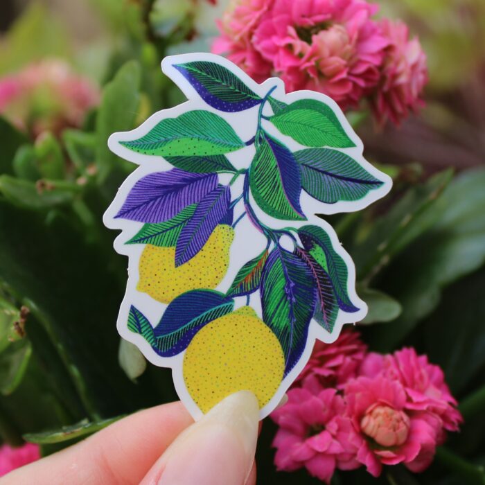 sticker-citrons-orane-sigal-sigalerie-2