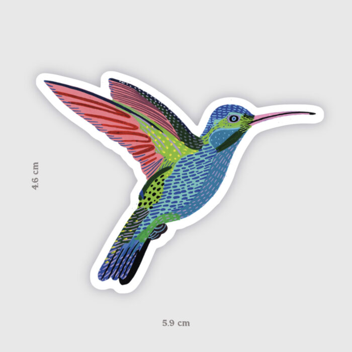 sticker-colibri-orane-sigal-sigalerie-1