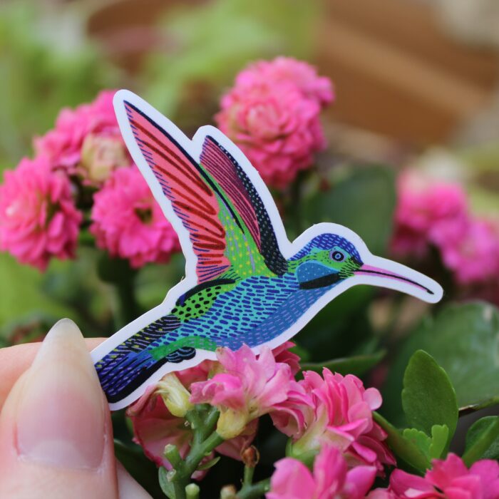sticker-colibri-orane-sigal-sigalerie-2