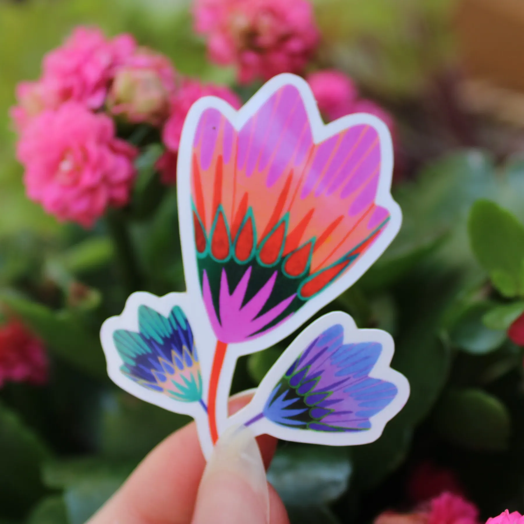 Grande fleur rose stylisée et deux fleurs bleues sur fond blanc, sticker illustré par Orane Sigal