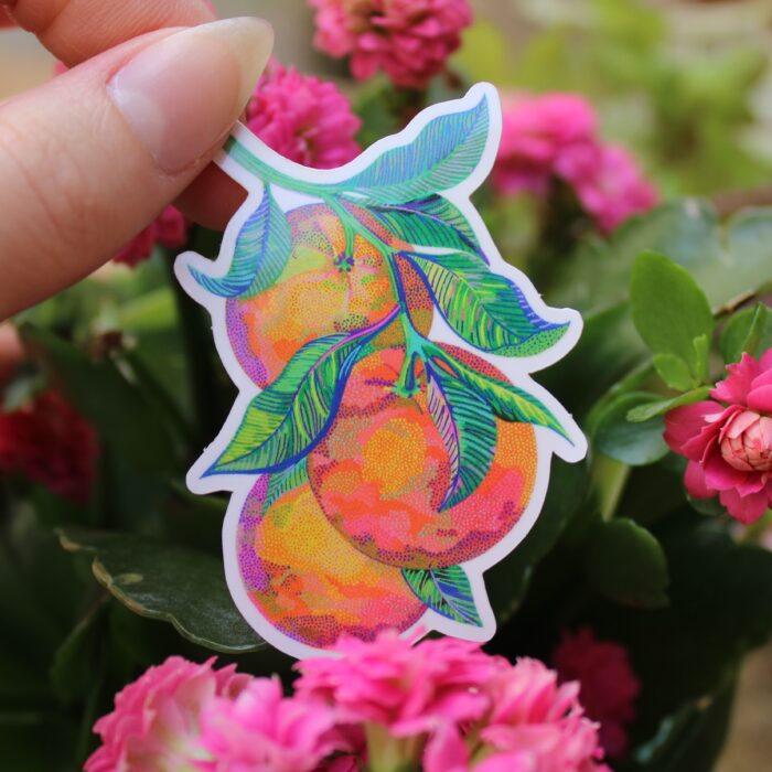 sticker-oranges-orane-sigal-sigalerie-2